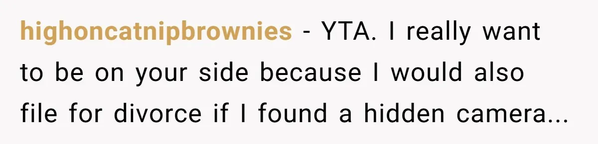 highoncatnipbrownies − YTA. I really want to be on your side because I would also file for divorce if I found a hidden camera...