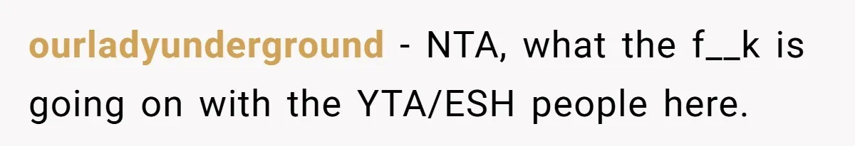 ourladyunderground − NTA, what the f__k is going on with the YTA/ESH people here.