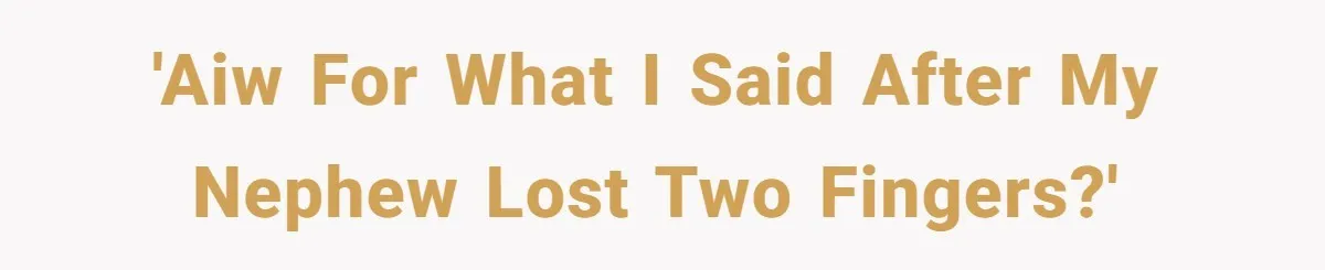 'AIW for what I said after my nephew lost two fingers?'