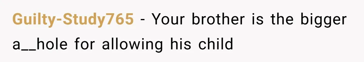 Guilty-Study765 − Your brother is the bigger a__hole for allowing his child