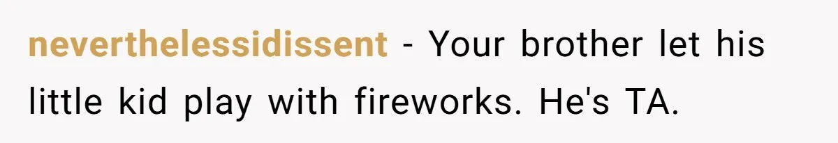 neverthelessidissent − Your brother let his little kid play with fireworks. He's TA.