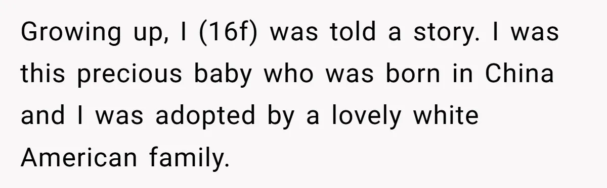 Growing up, I (16f) was told a story. I was this precious baby who was born in China and I was adopted by a lovely white American family.