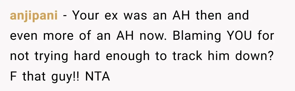 anjipani − Your ex was an AH then and even more of an AH now. Blaming YOU for not trying hard enough to track him down? F that guy!! NTA