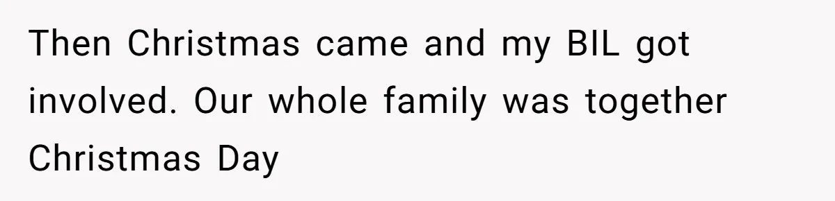 Then Christmas came and my BIL got involved. Our whole family was together Christmas Day