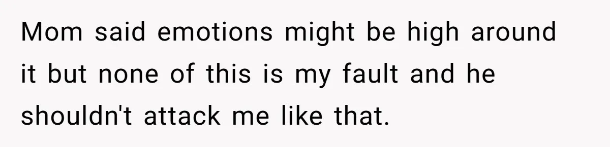 Mom said emotions might be high around it but none of this is my fault and he shouldn't attack me like that.
