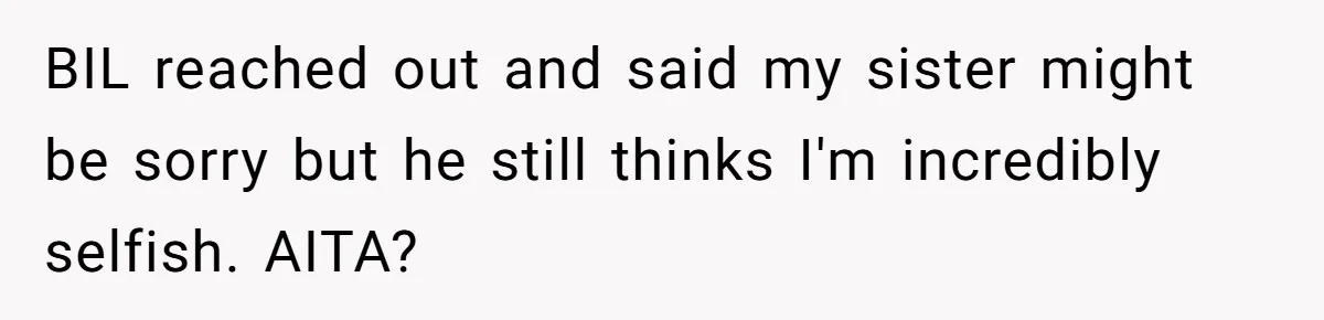 BIL reached out and said my sister might be sorry but he still thinks I'm incredibly selfish. AITA?