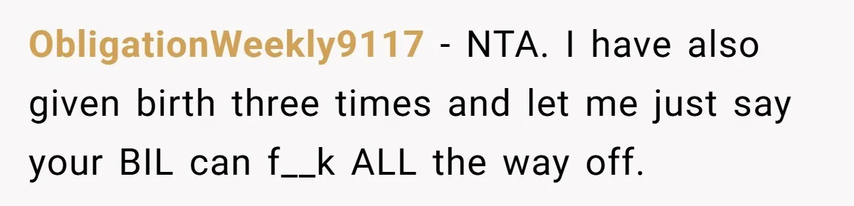 ObligationWeekly9117 − NTA. I have also given birth three times and let me just say your BIL can f__k ALL the way off.