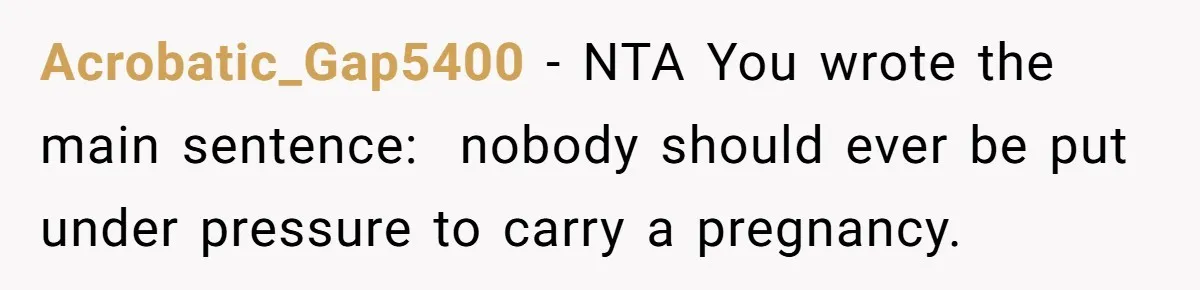 Acrobatic_Gap5400 − NTA You wrote the main sentence:  nobody should ever be put under pressure to carry a pregnancy.