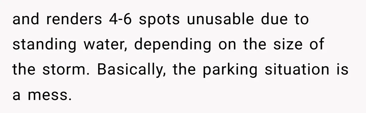 and renders 4-6 spots unusable due to standing water, depending on the size of the storm. Basically, the parking situation is a mess.