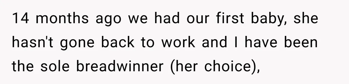 14 months ago we had our first baby, she hasn't gone back to work and I have been the sole breadwinner (her choice),