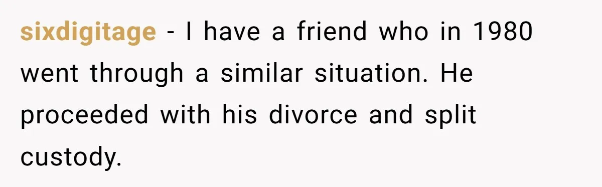 sixdigitage − I have a friend who in 1980 went through a similar situation. He proceeded with his divorce and split custody.