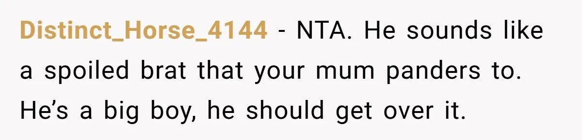 Distinct_Horse_4144 − NTA. He sounds like a spoiled brat that your mum panders to. He’s a big boy, he should get over it.