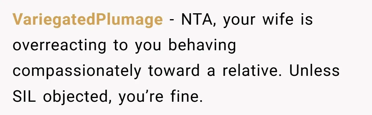 VariegatedPlumage − NTA, your wife is overreacting to you behaving compassionately toward a relative. Unless SIL objected, you’re fine.