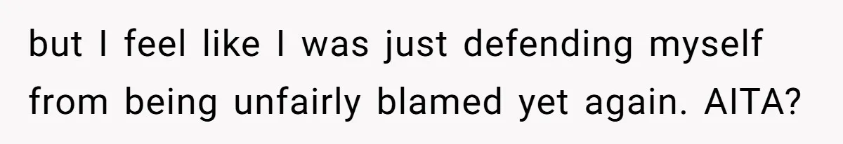 but I feel like I was just defending myself from being unfairly blamed yet again. AITA?