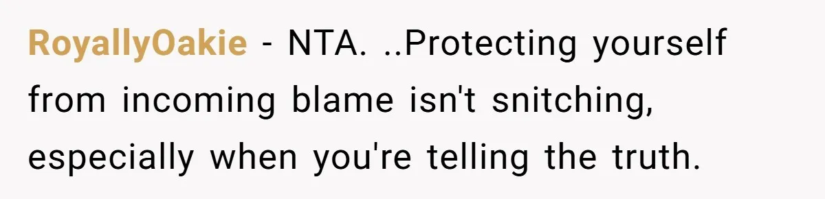 RoyallyOakie − NTA. ..Protecting yourself from incoming blame isn't snitching, especially when you're telling the truth.