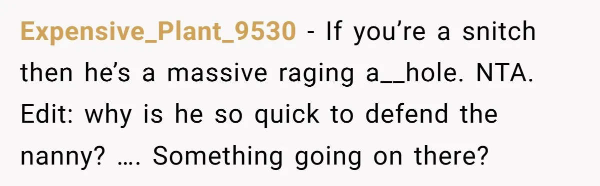 Expensive_Plant_9530 − If you’re a snitch then he’s a massive raging a__hole. NTA. Edit: why is he so quick to defend the nanny? …. Something going on there?