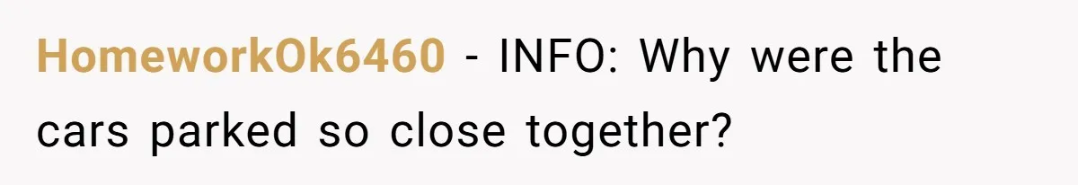 HomeworkOk6460 − INFO: Why were the cars parked so close together?