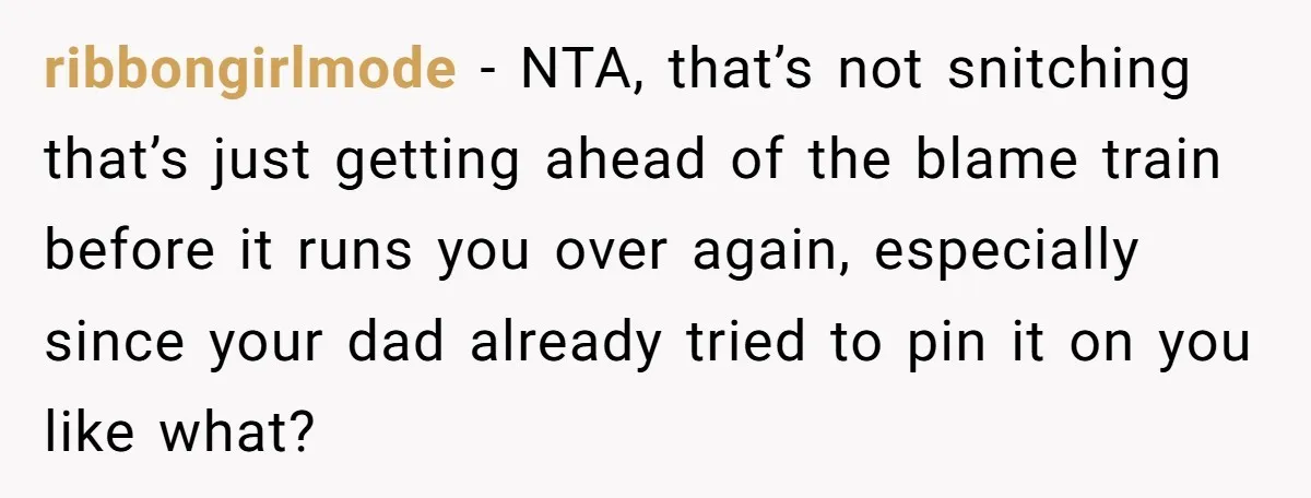 ribbongirlmode − NTA, that’s not snitching that’s just getting ahead of the blame train before it runs you over again, especially since your dad already tried to pin it on...