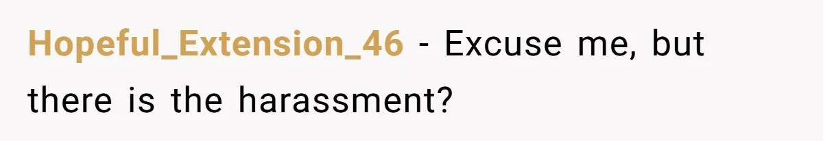 Hopeful_Extension_46 − Excuse me, but there is the harassment?