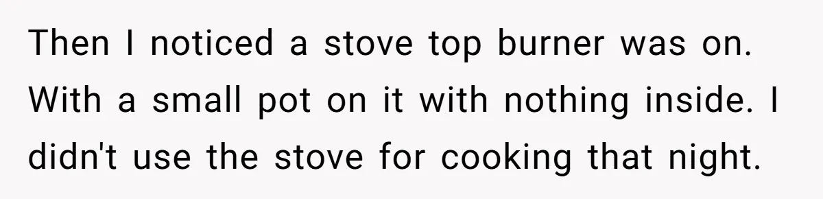 Then I noticed a stove top burner was on. With a small pot on it with nothing inside. I didn't use the stove for cooking that night.