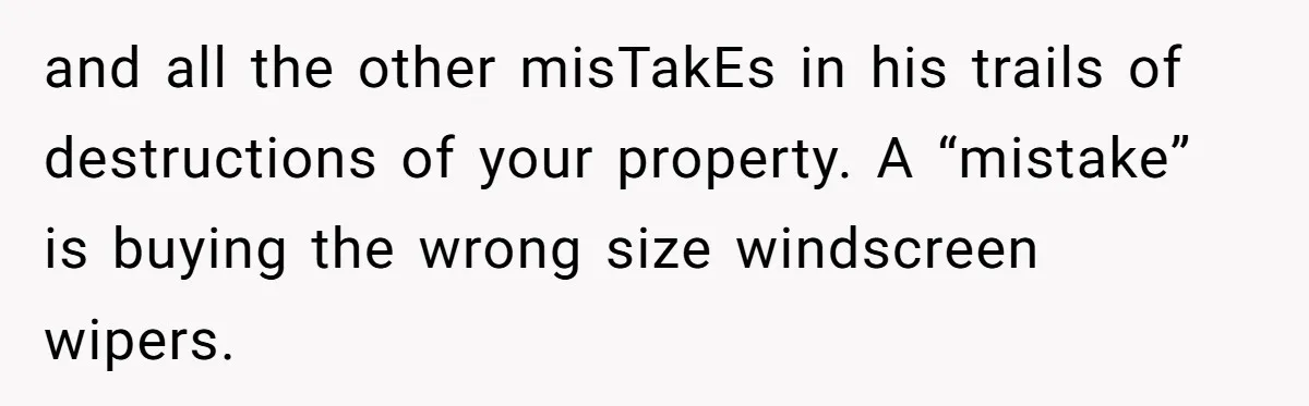 and all the other misTakEs in his trails of destructions of your property. A “mistake” is buying the wrong size windscreen wipers.
