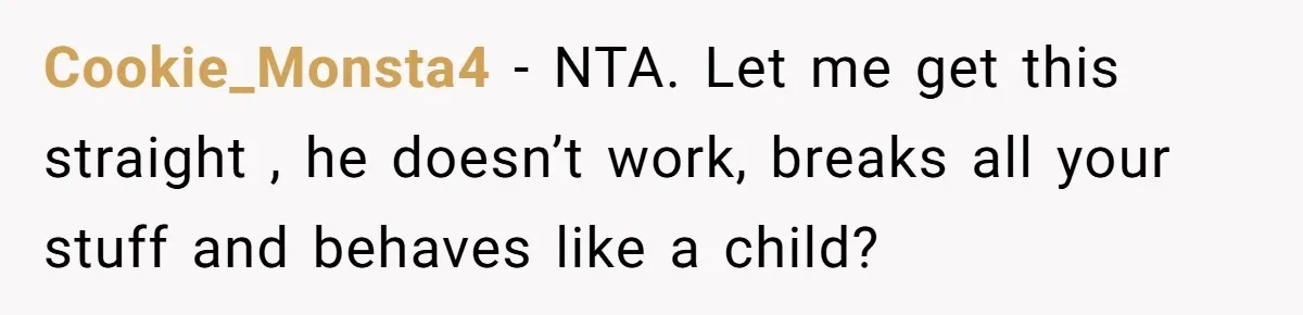 Cookie_Monsta4 − NTA. Let me get this straight , he doesn’t work, breaks all your stuff and behaves like a child?