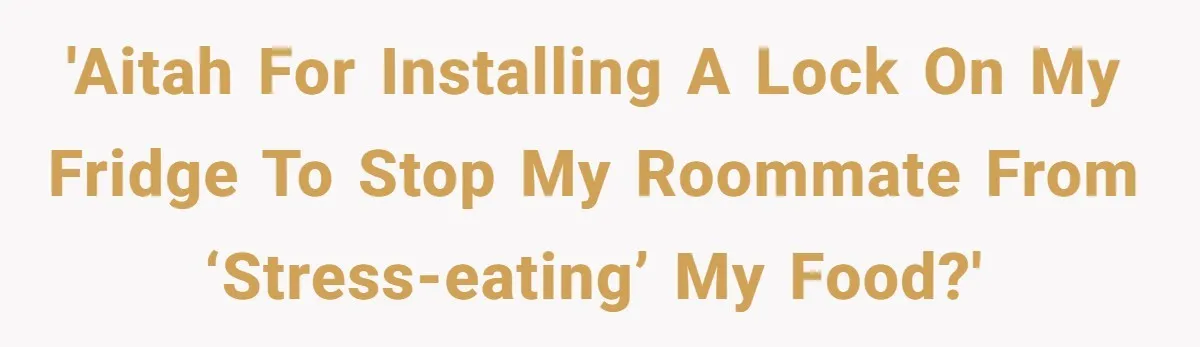 'AITAH for installing a lock on my fridge to stop my roommate from ‘stress-eating’ my food?'