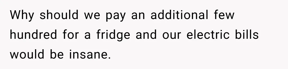 Why should we pay an additional few hundred for a fridge and our electric bills would be insane.