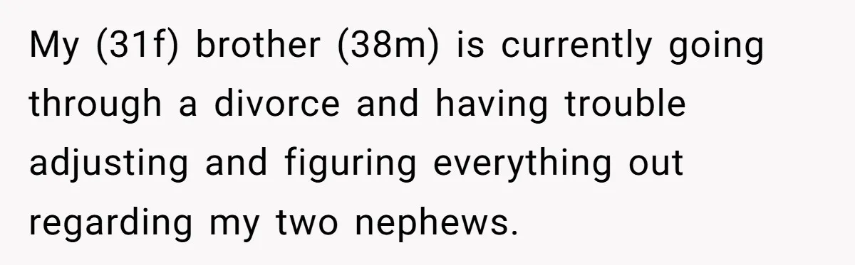 My (31f) brother (38m) is currently going through a divorce and having trouble adjusting and figuring everything out regarding my two nephews.