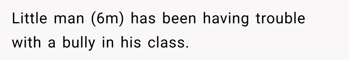 Little man (6m) has been having trouble with a bully in his class.