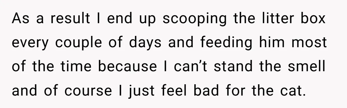 As a result I end up scooping the litter box every couple of days and feeding him most of the time because I can’t stand the smell and of course...