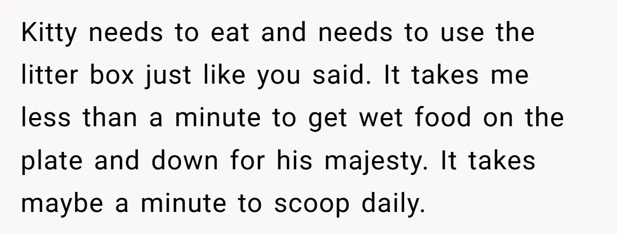 Kitty needs to eat and needs to use the litter box just like you said. It takes me less than a minute to get wet food on the plate and...
