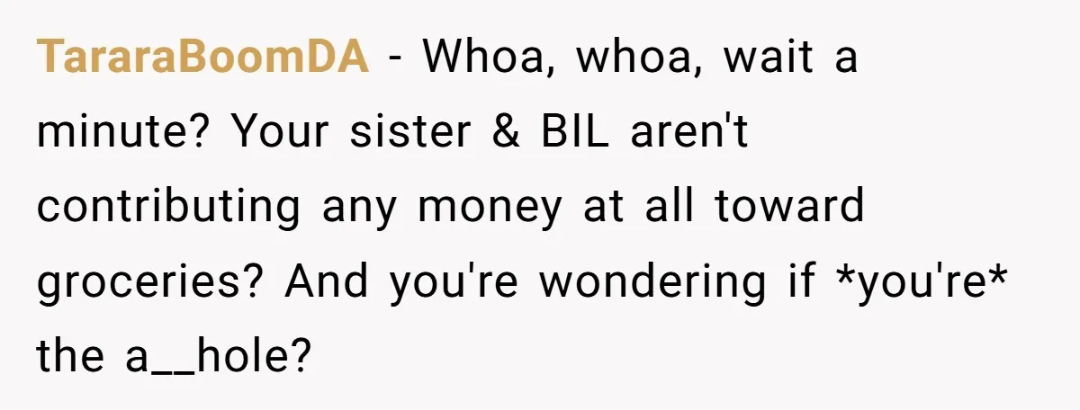 TararaBoomDA − Whoa, whoa, wait a minute? Your sister & BIL aren't contributing any money at all toward groceries? And you're wondering if *you're* the a__hole?