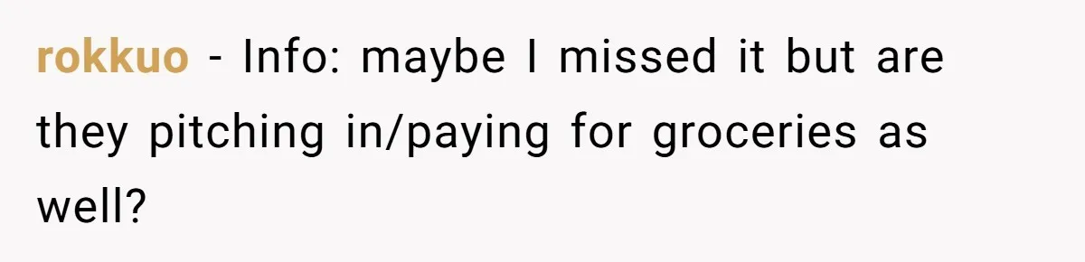 rokkuo − Info: maybe I missed it but are they pitching in/paying for groceries as well?