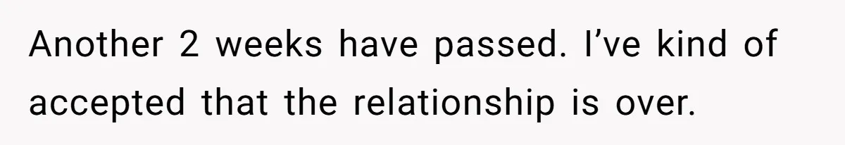 Another 2 weeks have passed. I’ve kind of accepted that the relationship is over.