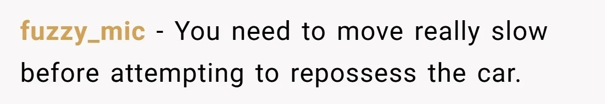 fuzzy_mic − You need to move really slow before attempting to repossess the car.