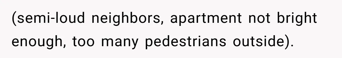 (semi-loud neighbors, apartment not bright enough, too many pedestrians outside).