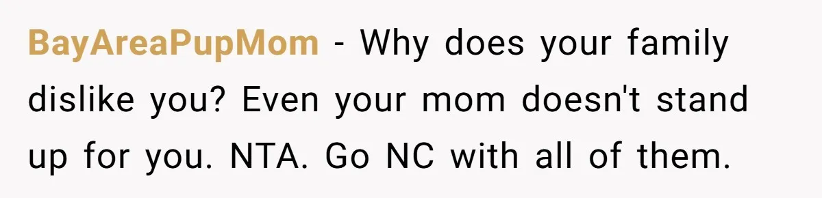 BayAreaPupMom − Why does your family dislike you? Even your mom doesn't stand up for you. NTA. Go NC with all of them.