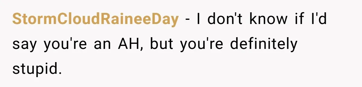 StormCloudRaineeDay − I don't know if I'd say you're an AH, but you're definitely stupid.