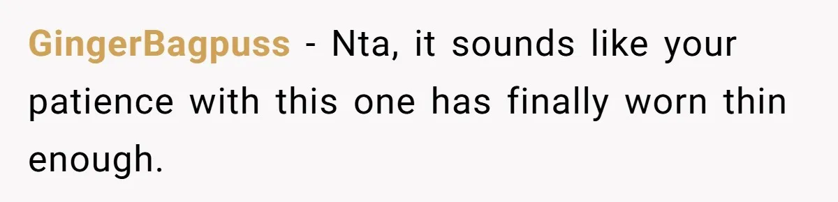 GingerBagpuss − Nta, it sounds like your patience with this one has finally worn thin enough.