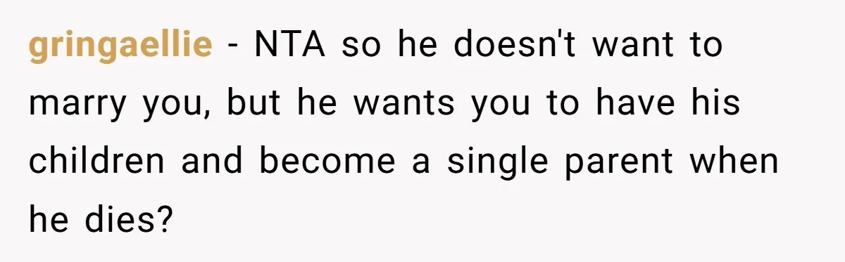 gringaellie − NTA so he doesn't want to marry you, but he wants you to have his children and become a single parent when he dies?