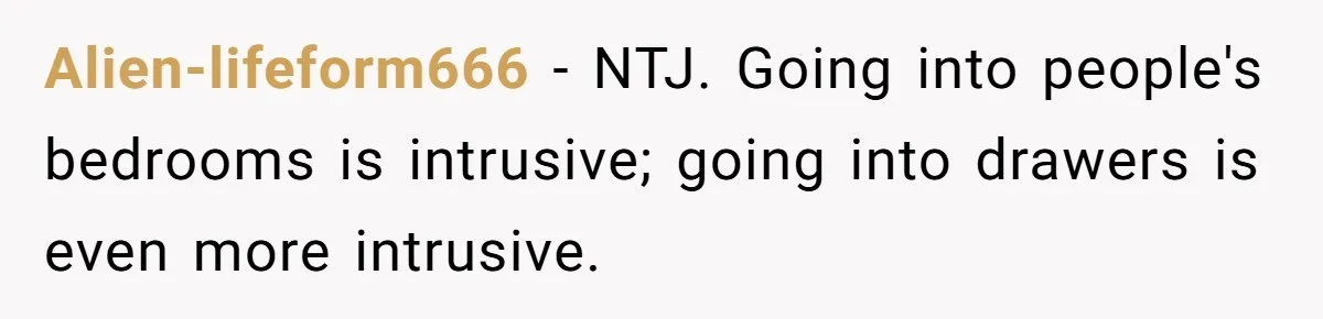 Alien-lifeform666 − NTJ. Going into people's bedrooms is intrusive; going into drawers is even more intrusive.