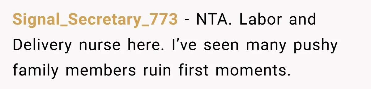 Signal_Secretary_773 − NTA. Labor and Delivery nurse here. I’ve seen many pushy family members ruin first moments.