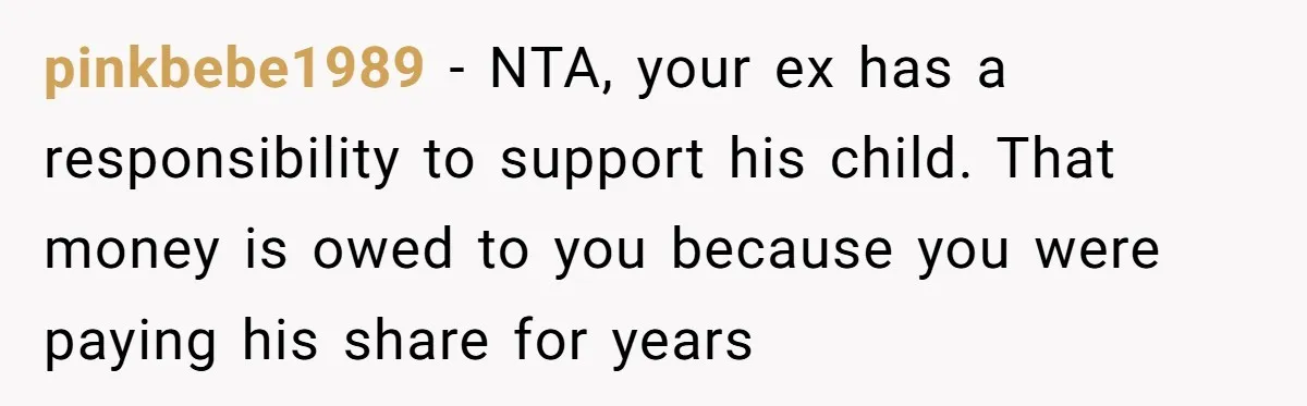 pinkbebe1989 − NTA, your ex has a responsibility to support his child. That money is owed to you because you were paying his share for years