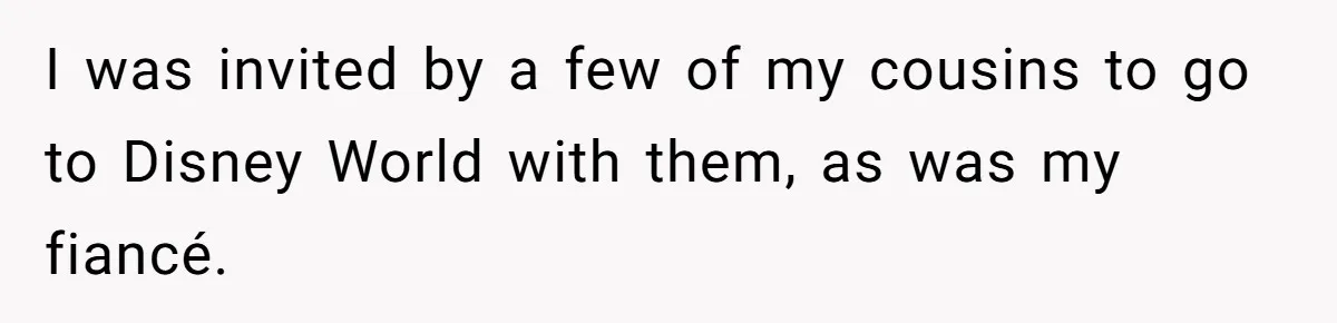 I was invited by a few of my cousins to go to Disney World with them, as was my fiancé.