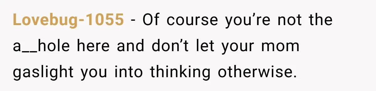 Lovebug-1055 − Of course you’re not the a__hole here and don’t let your mom gaslight you into thinking otherwise.