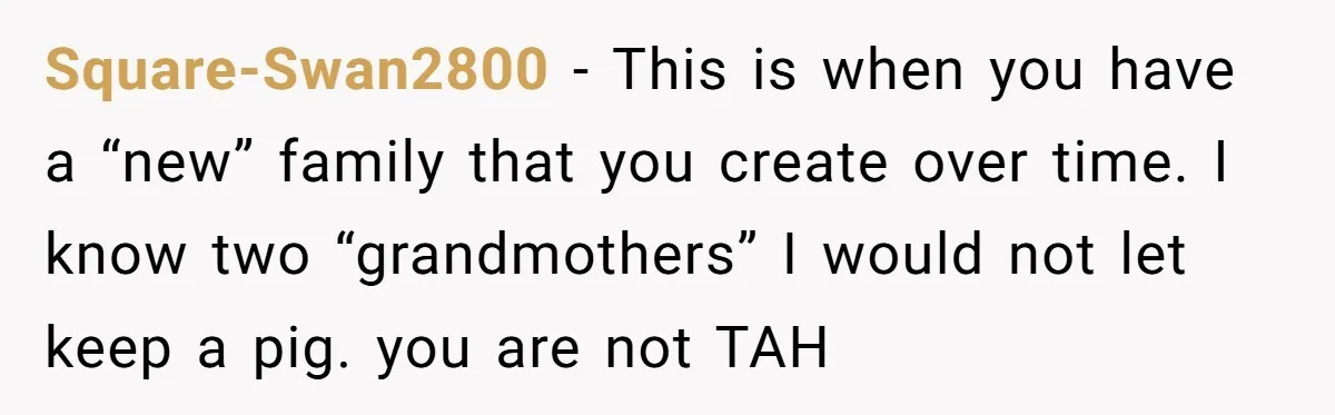 Square-Swan2800 − This is when you have a “new” family that you create over time. I know two “grandmothers” I would not let keep a pig. you are not TAH