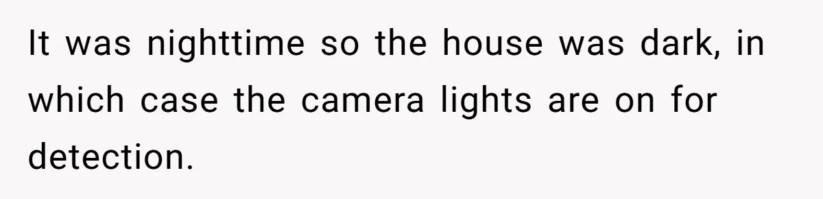 It was nighttime so the house was dark, in which case the camera lights are on for detection.