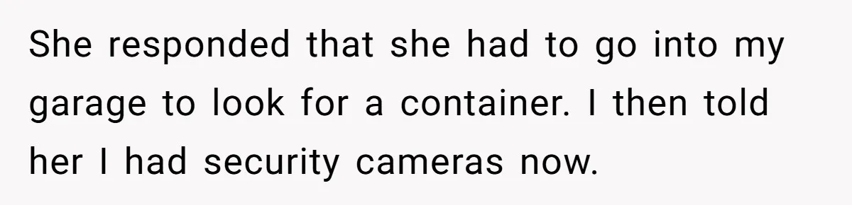 She responded that she had to go into my garage to look for a container. I then told her I had security cameras now.