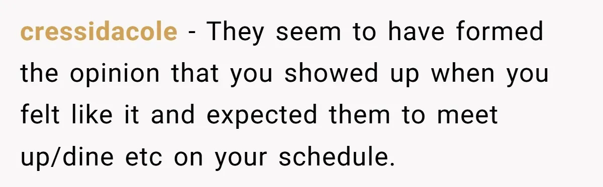 cressidacole − They seem to have formed the opinion that you showed up when you felt like it and expected them to meet up/dine etc on your schedule.